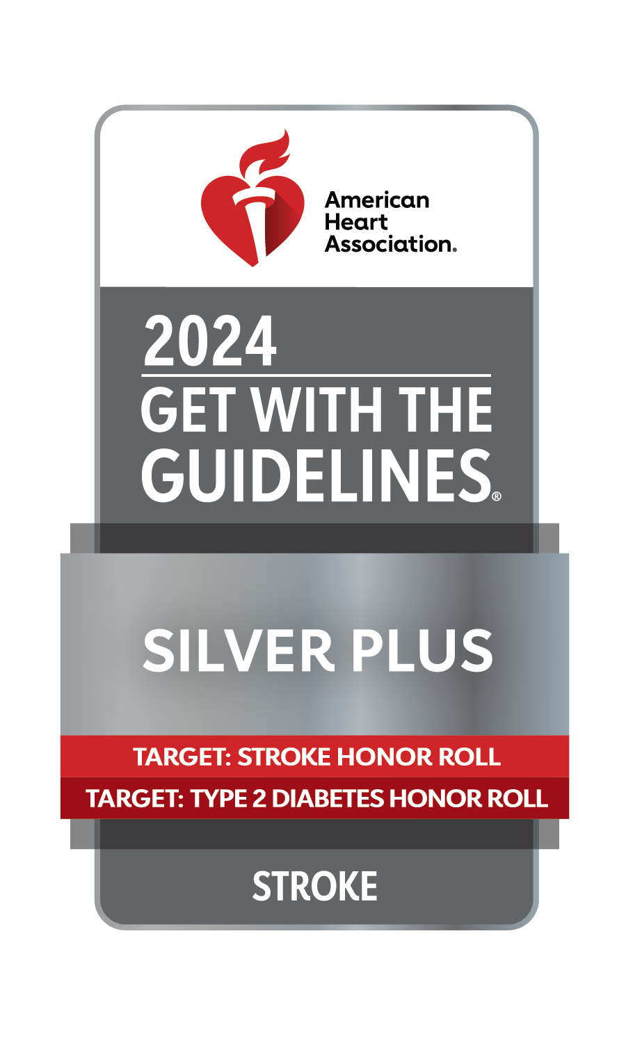 2024 Get with the Guidelines Silver Plus in Stroke